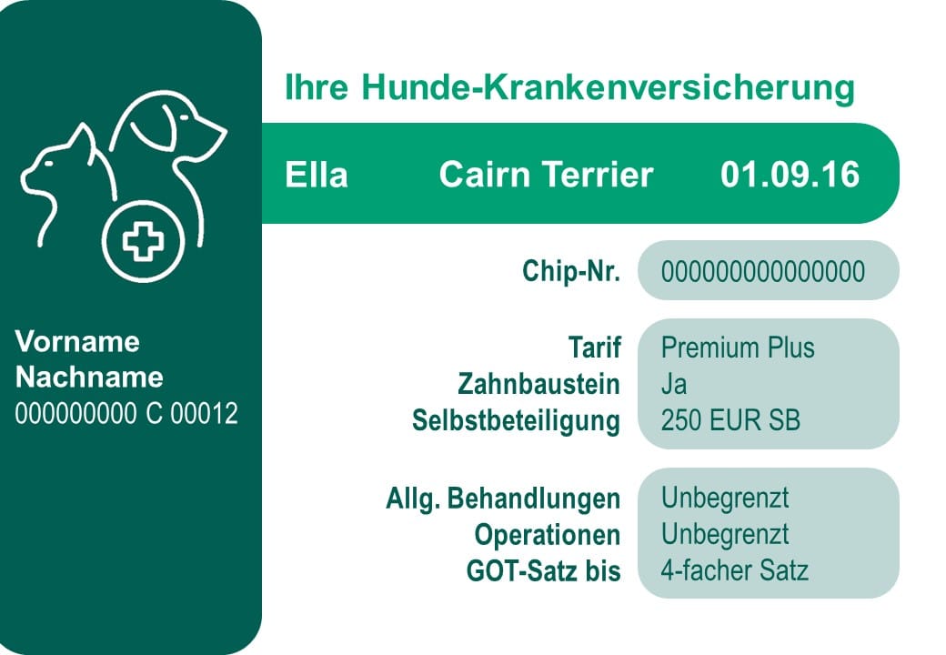 Hansemerkur Tier Op Rechnung Einreichen