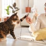 hansemerkur katzenversicherung katzenkrankenversicherung