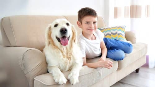 Mit der Hundekrankenversicherung gut geschützt - Kind mit Hund auf der Couch.