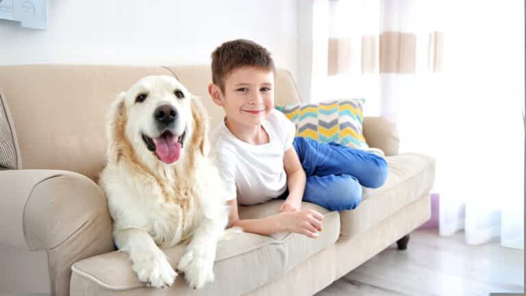 Kind liegt mit Hund auf der Couch, beide entspannt