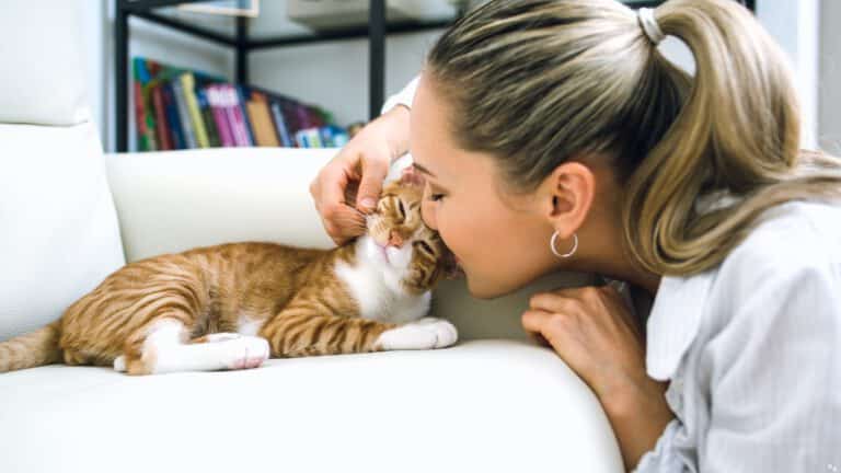 Frau schmust mit Katze auf der Couch