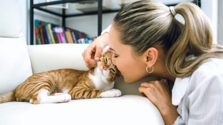 Frau schmust mit Katze auf Couch – Infos zur Katzenversicherung