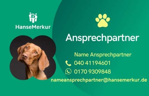 Service-Card mit Hund und Kontaktdaten der HanseMerkur