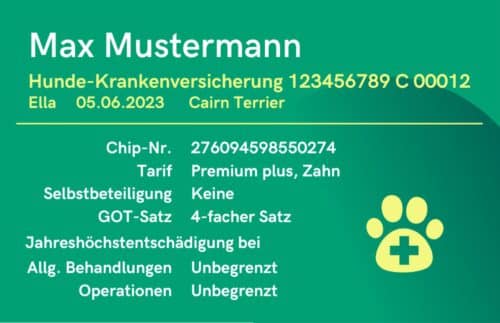 Service-Card mit Versicherungsleistungen für Hunde