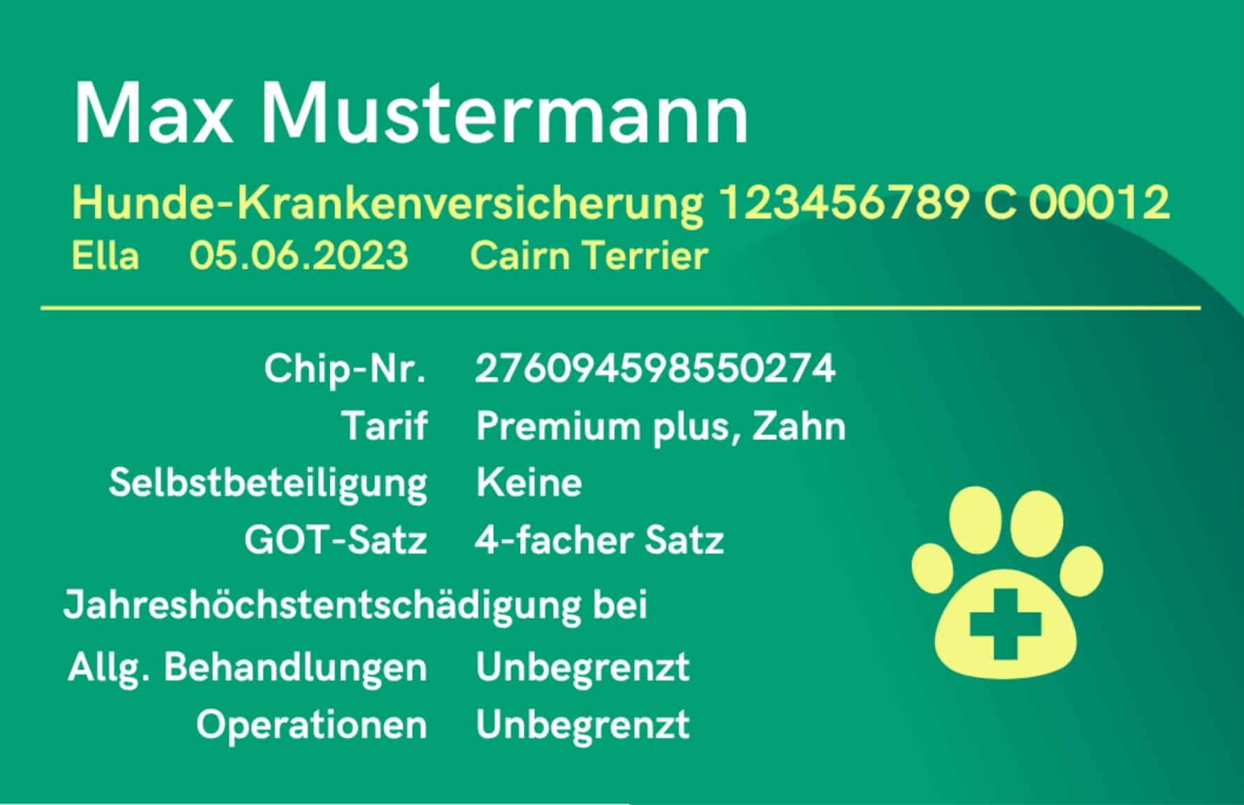 Service-Card mit Versicherungsleistungen für Hunde