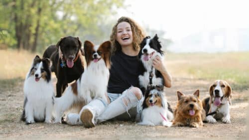 Junge Frau sitzt entspannt inmitten mehrerer Hunde – Angebot Hundehaftpflicht anfordern
