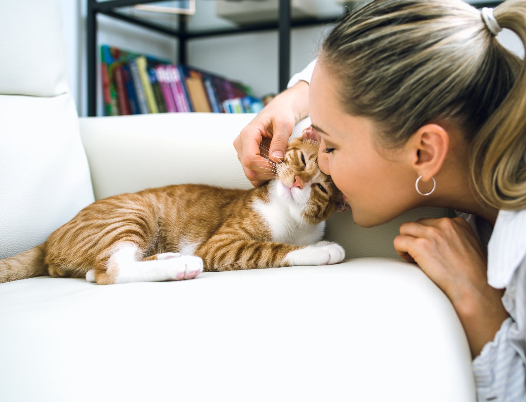 Geschützt durch Katzenversicherung Katze schnurrt beim Schmusen mit Frau.