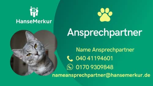 Deine Service-Card Tierversicherung für deine Katze exklusiv nur bei hm-tierversicherung
