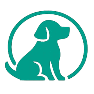 Hundehaftpflicht Leistungen – Deckungssumme, Schadenumfang und Zusatzbausteine erklärt