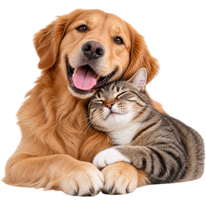 Hund und Katze gemeinsam als Motiv für das HM-Tierfreunde-Empfehlungsprogramm