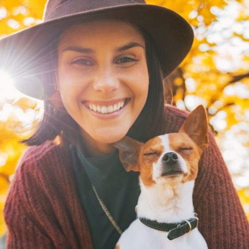 HanseMerkur Hund versichern - Vergleiche Hunde-OP Versicherung mit der Hundekrankenversicherung